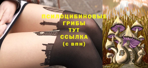Альфа ПВП Кизел
