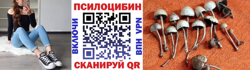 ссылка на мегу как войти  Похвистнево  Псилоцибиновые грибы GOLDEN TEACHER 
