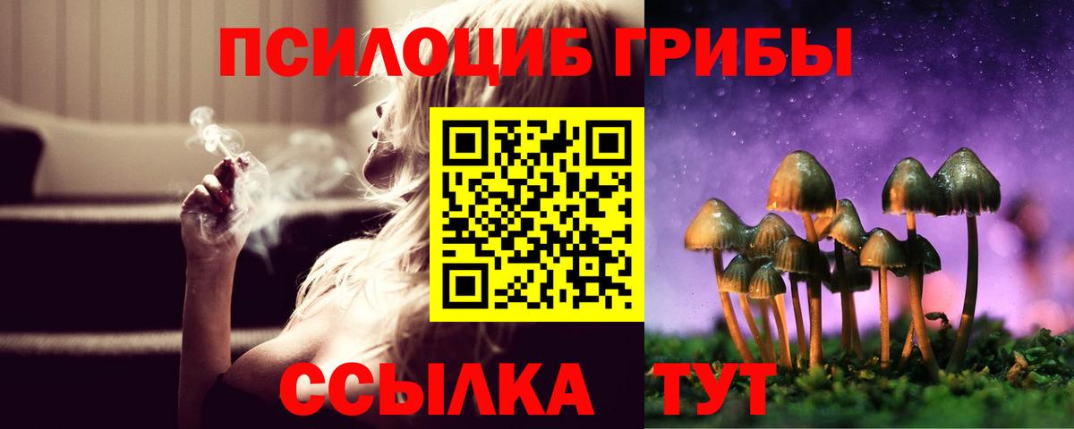 Псилоцибиновые грибы Psilocybe Похвистнево